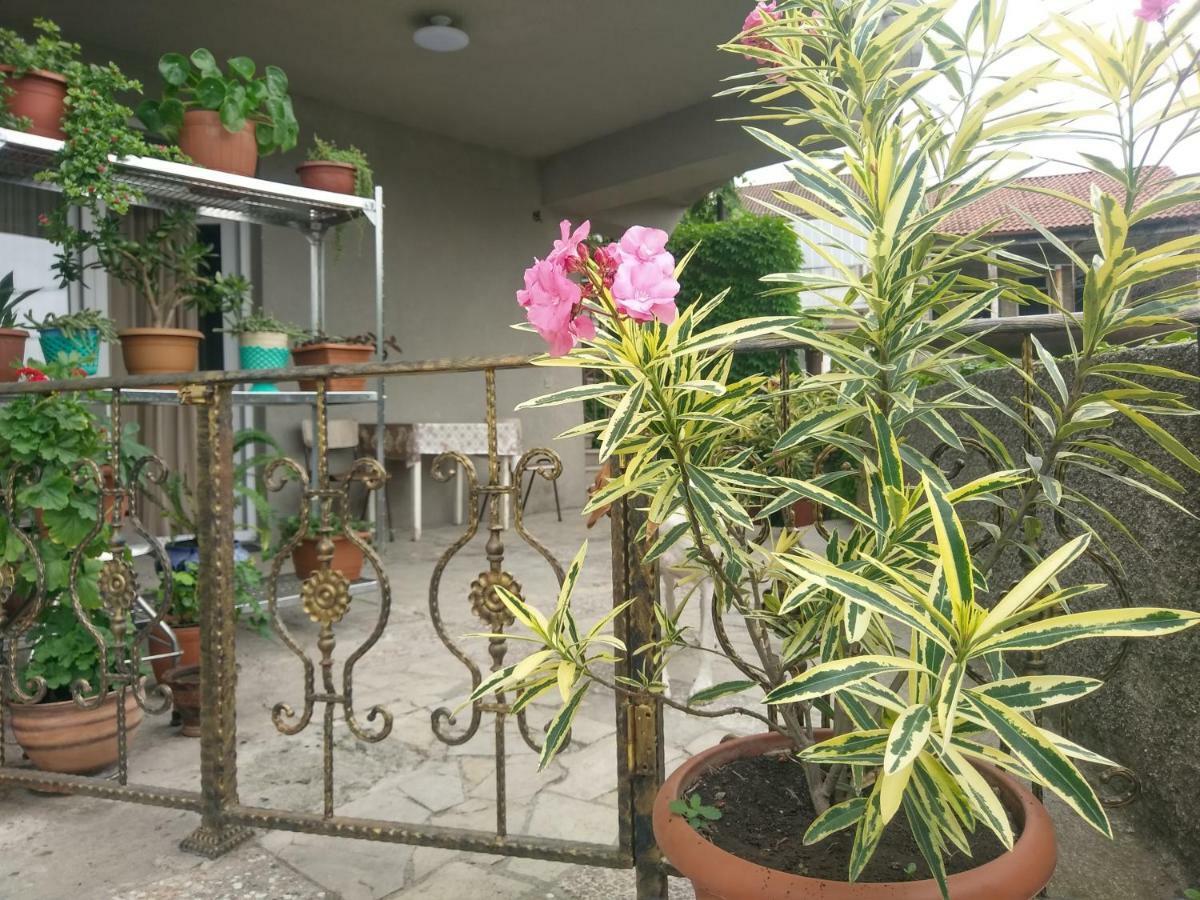 Guest House Vista Signagi Buitenkant foto