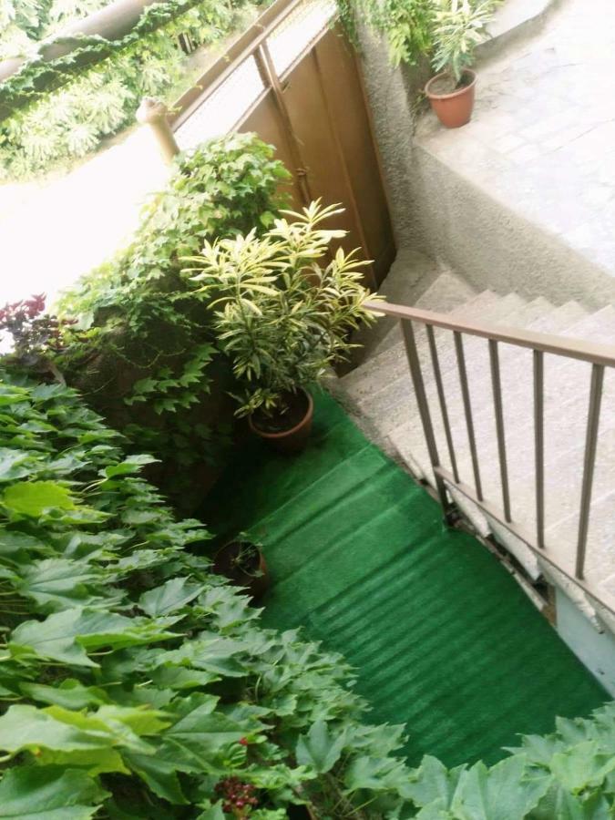 Guest House Vista Signagi Buitenkant foto